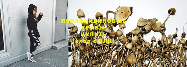 каннабис Абаза